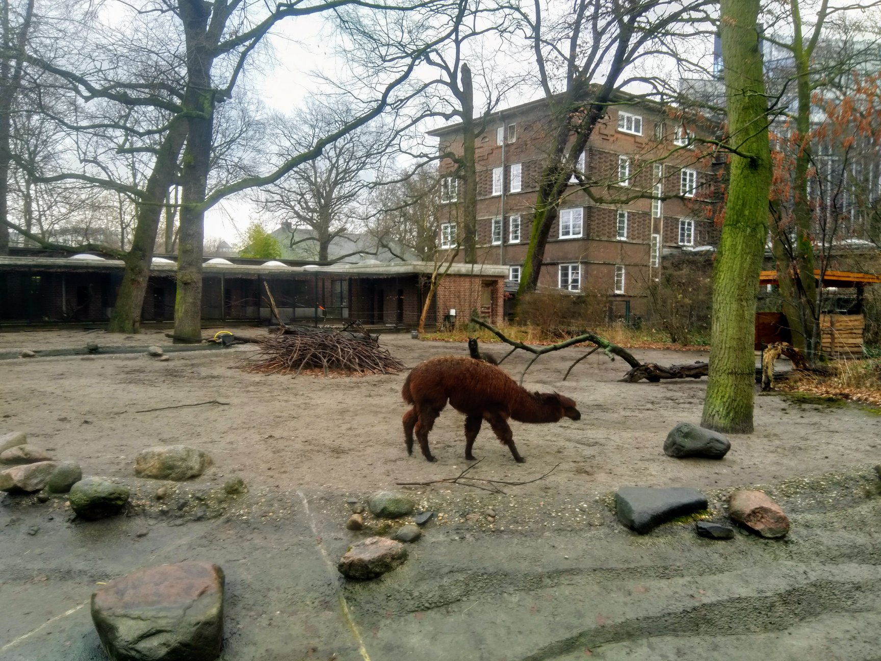 Sint-Martinus den XIIde - Winterkamp VK Berlijn